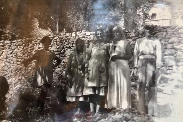 ΚΟΠΕΛΕΣ 2