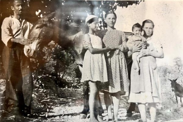 ΚΟΠΕΛΕΣ